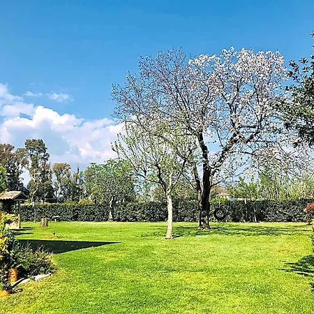 فندق مبيت وإفطار Oasi Di Francesca Pontinia