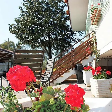 Oasi Di Francesca 3*