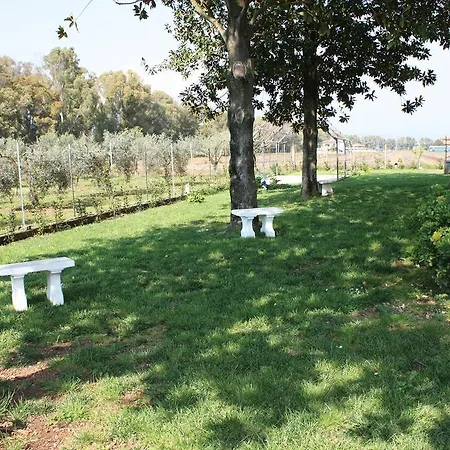 Oasi Di Francesca