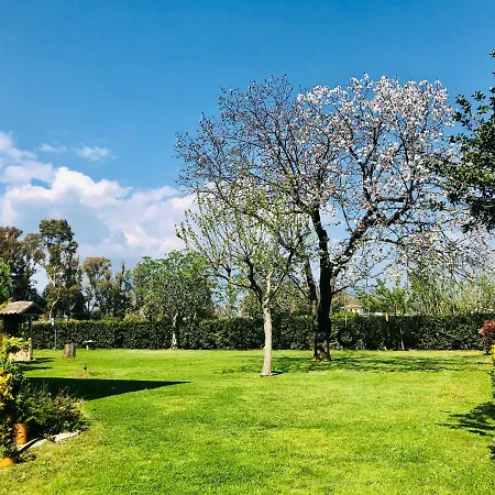 Oasi Di Francesca Bed & Breakfast *